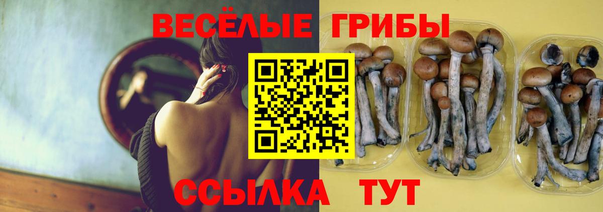 Галлюциногенные грибы MAGIC MUSHROOMS  Вход с VPN  Люберцы 
